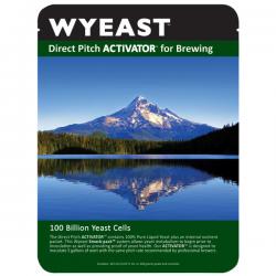 Wyeast 1187 Ringwood Ale
